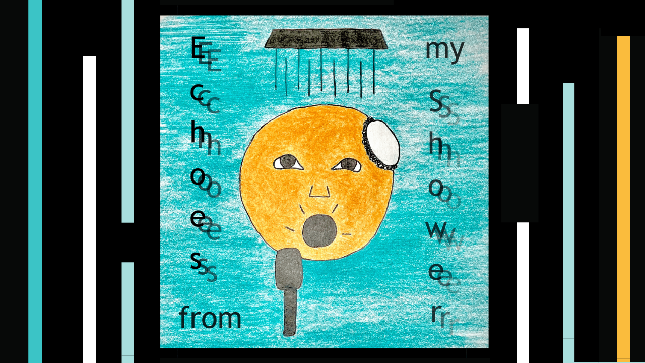 Echoes from My Shower